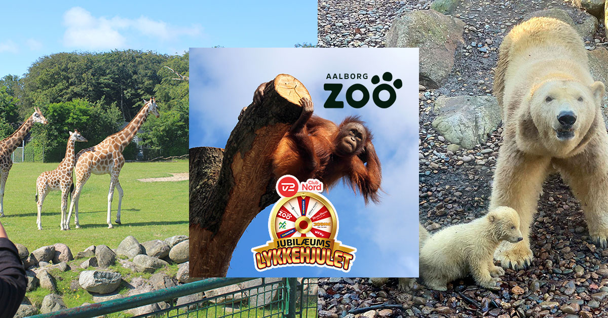 Vind billetter til Aalborg Zoo + dyrebamser fra Aalborg Zoo