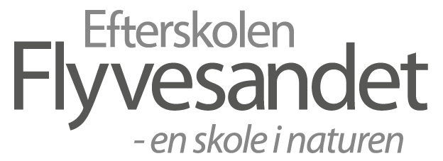 Efterskolen Flyvesandet