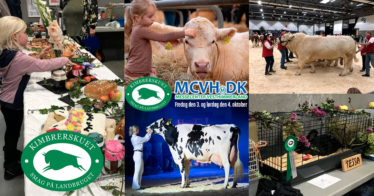 SPAR 25%: Kimbrerskuet – Dyrskue